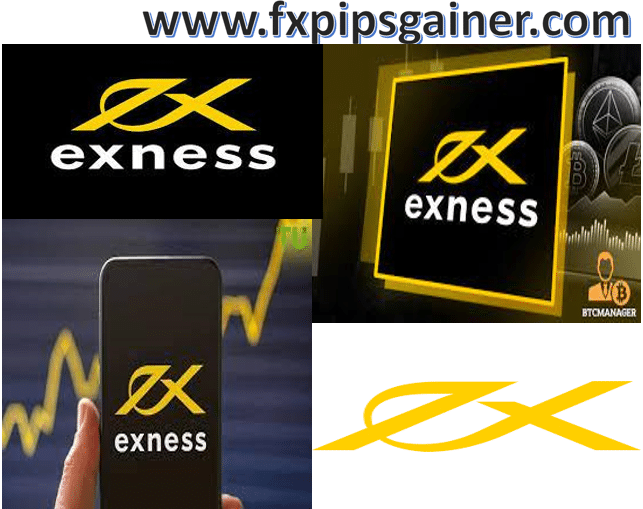 Comprehensive Insights on Exness Forex Broker